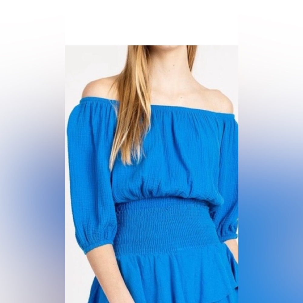 NWT  YANA K Magnolia Mini Dress ( dbl Guaze  Blue  Size Med